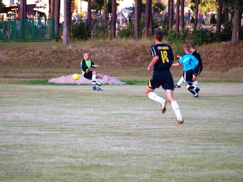 p8199955.jpg