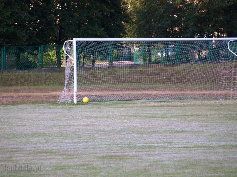 p8199957.jpg