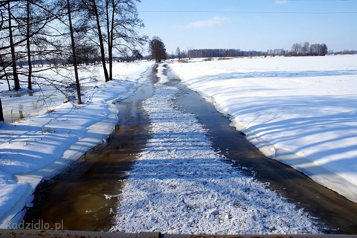 dsc04646.jpg