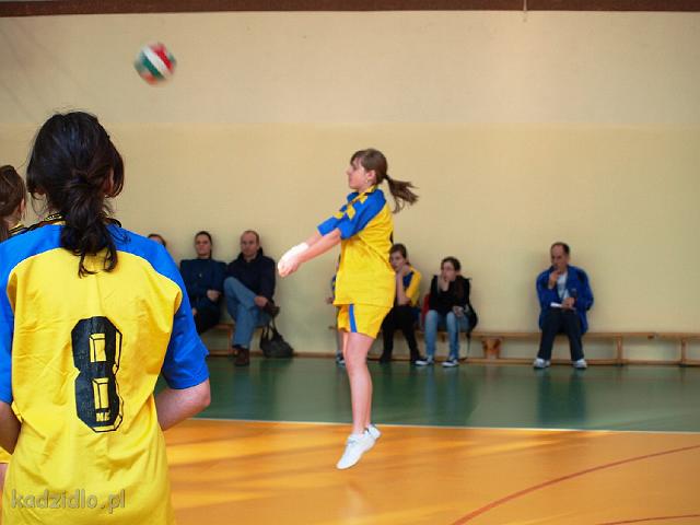 p2244186.jpg