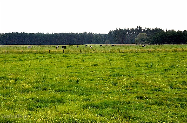 dsc_8923.jpg