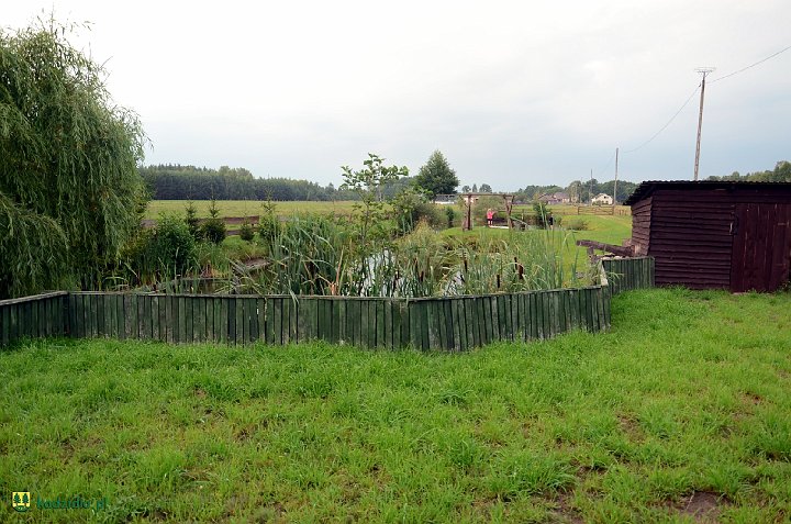 dsc_9363.jpg