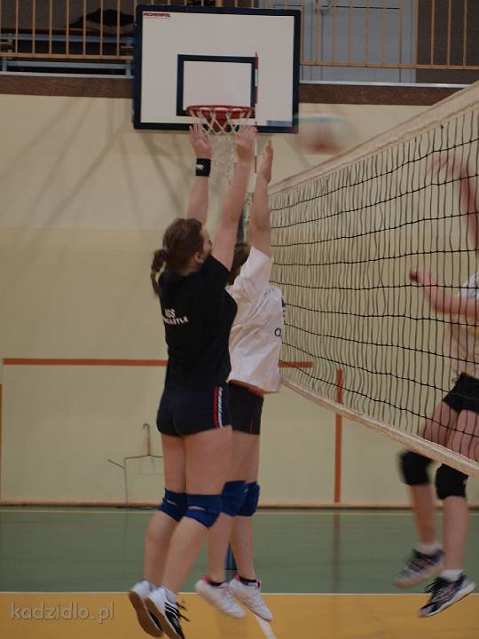 p1240106.jpg