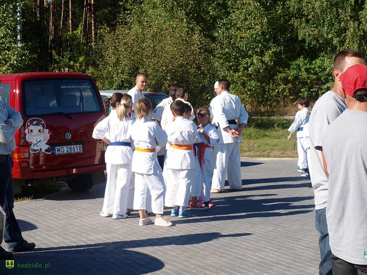 p9084522.jpg