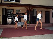p8026608
