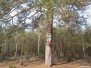 image00008
