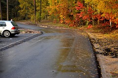 dsc_7478