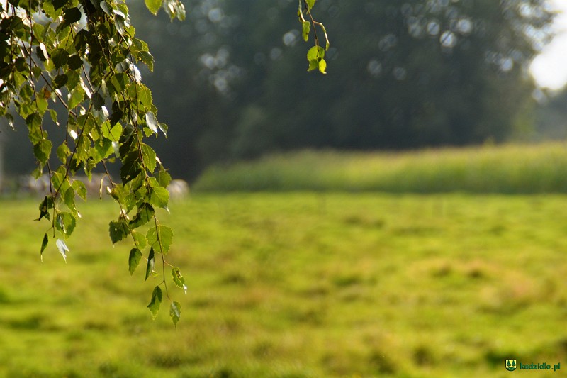 dsc_0018.jpg
