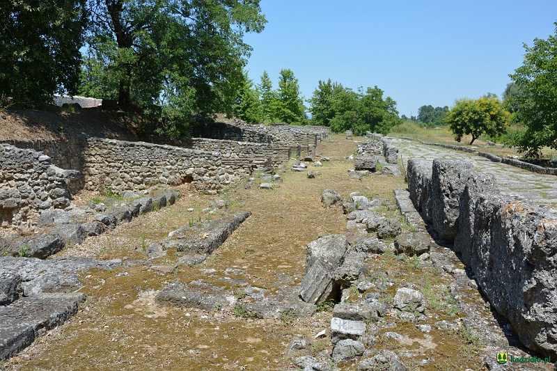 dsc_0376.jpg