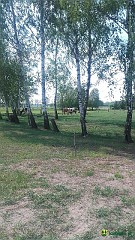 20160523_144710