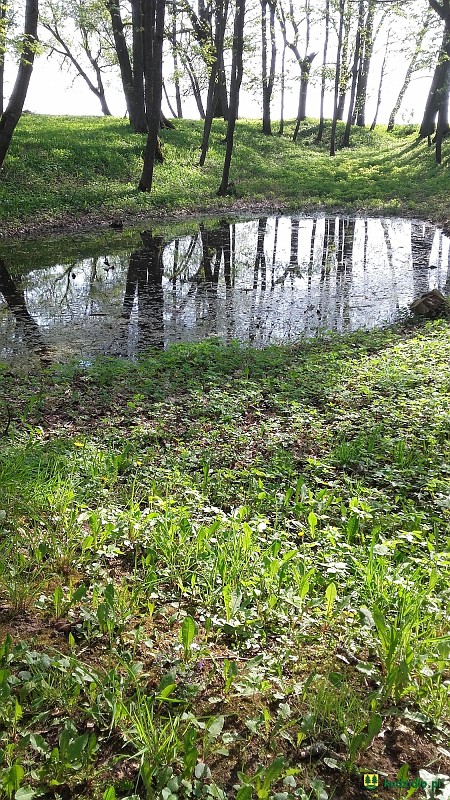 20160508_095046.jpg