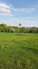 20160508_085404