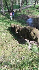 20160508_095144