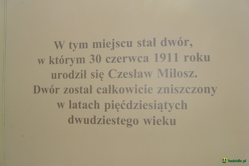 dsc06619.jpg