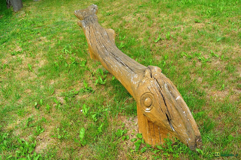 dsc_0698.jpg