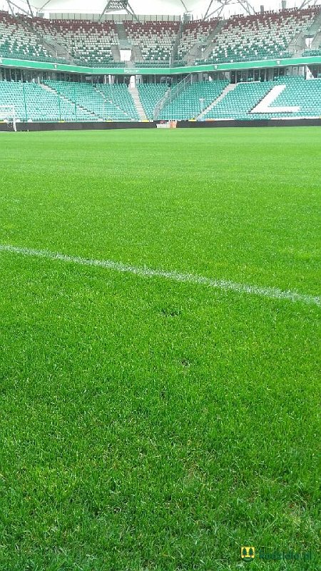 20160413_123731.jpg