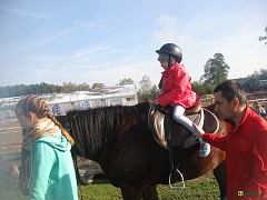 img_1252