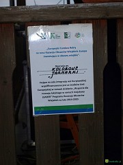 p7293985