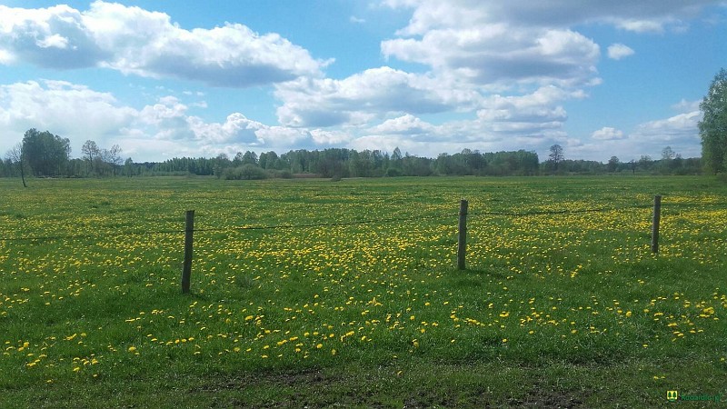 resized_20170509_143339.jpg
