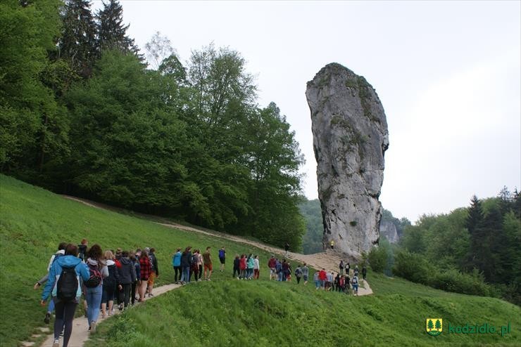 pieskowa_skala2.jpg
