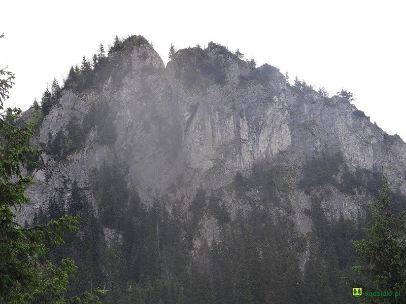 dsc08454.jpg