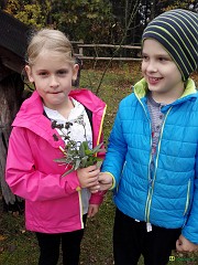 img_20171019_113232
