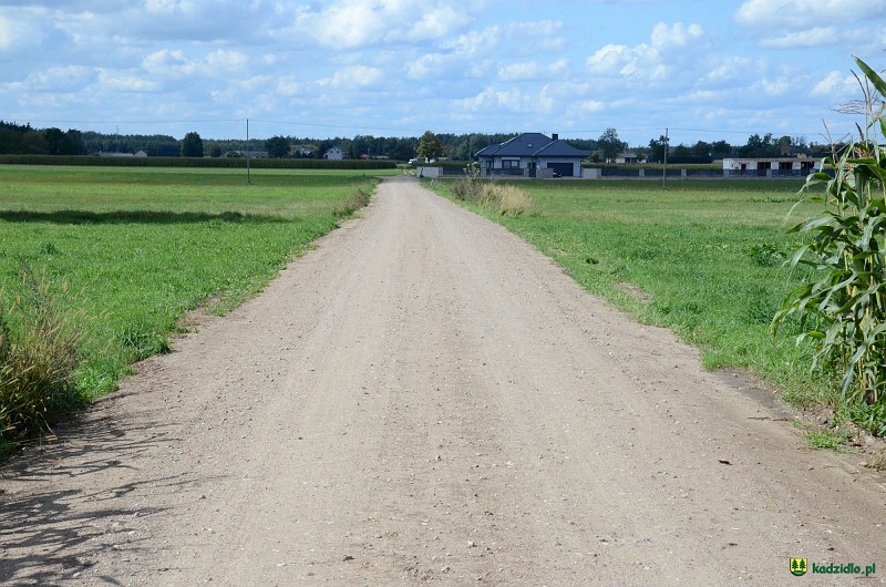 dsc_5653.jpg