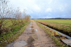 dsc_8832