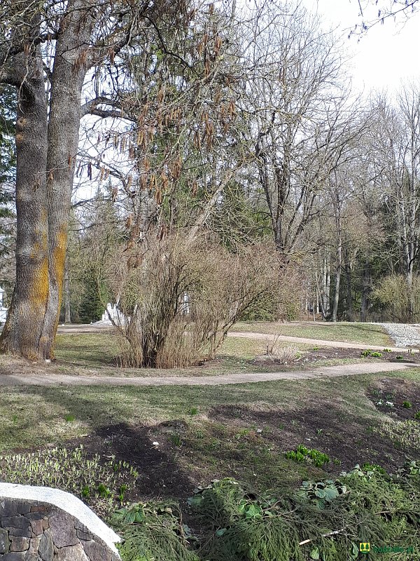 20190329_145854.jpg