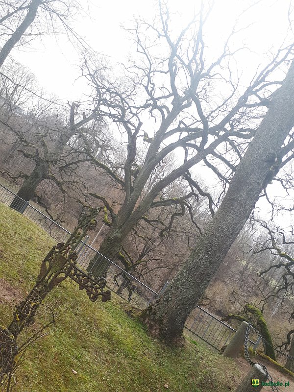 20190330_105016.jpg