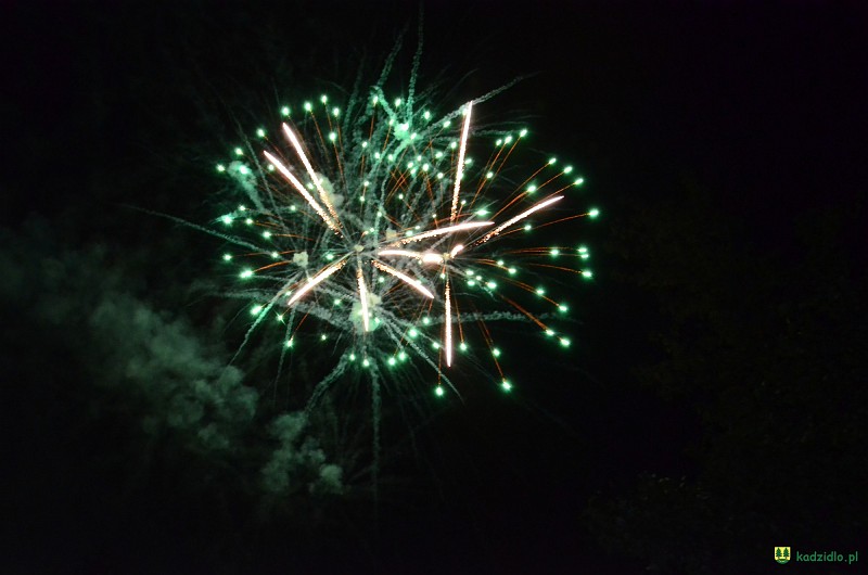 dsc_8297.jpg