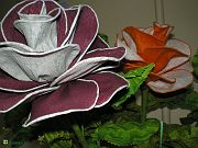 image00042